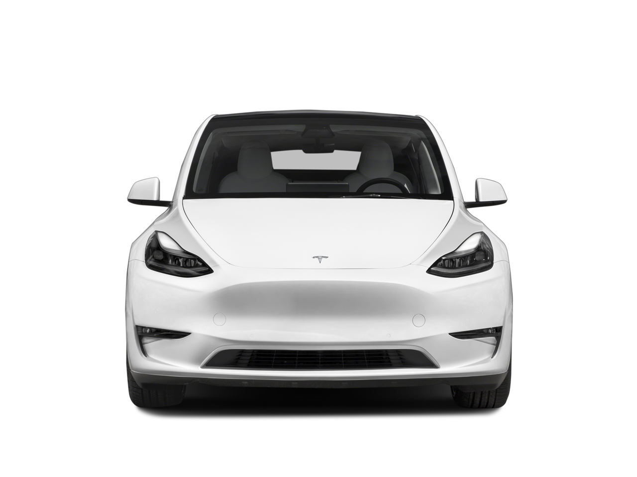 2023 Tesla Model Y photo 4