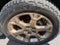 2024 Toyota RAV4 Hybrid Woodland Edition