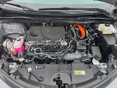 2023 Toyota Sienna Woodland Edition