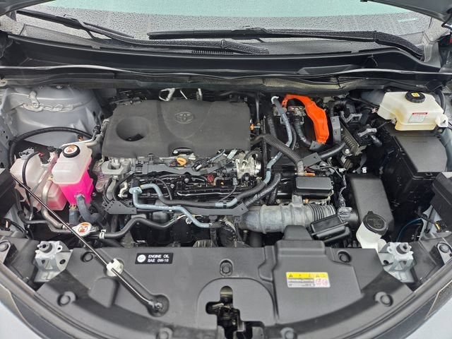 2023 Toyota Sienna Woodland Edition
