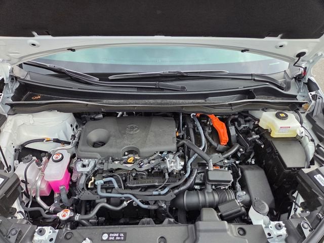 2025 Toyota Sienna XSE