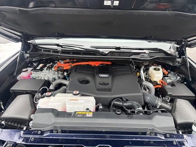 2025 Toyota Sequoia Limited