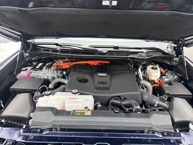 2025 Toyota Sequoia Limited